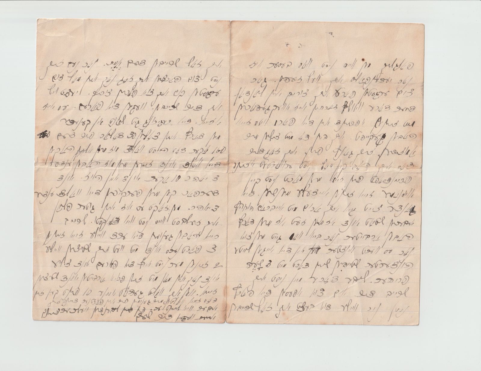 The Homestead Grant