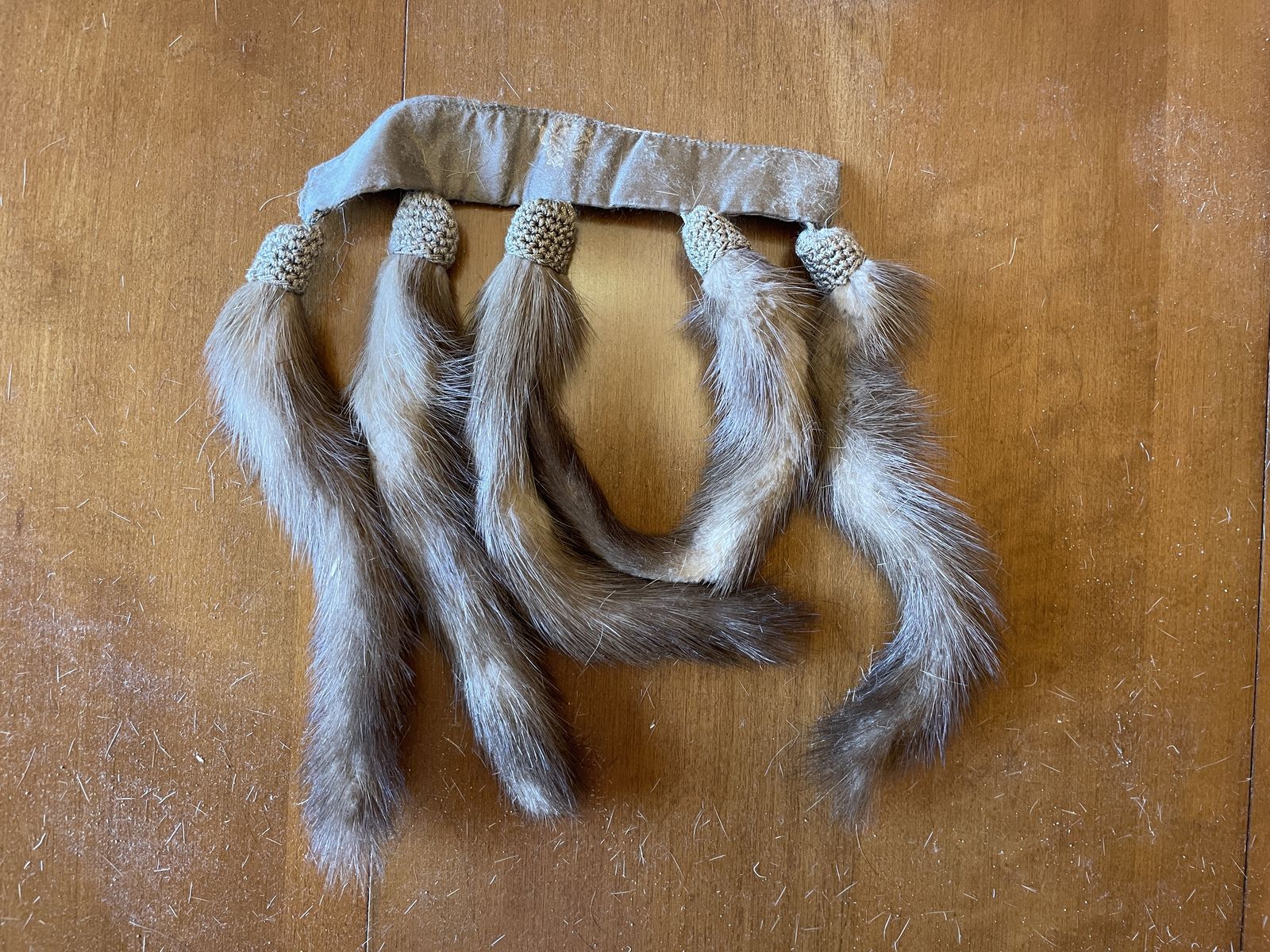 A Fringe of Fur Tails